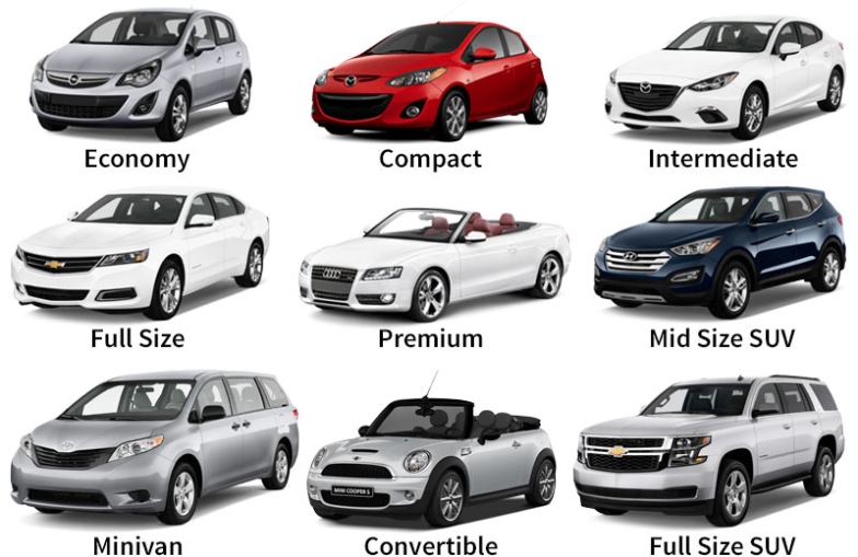 Backdate 5 Florida Sun Car Rental  Florida Vehicle Fleet