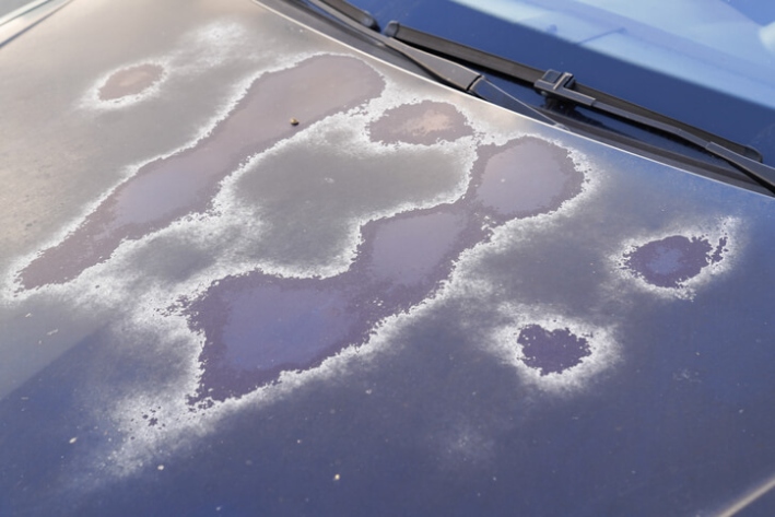 Cost To Repaint Your Car Hood: What You Need To Know